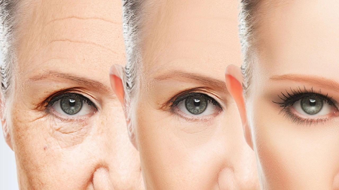 Anti-Aging Research